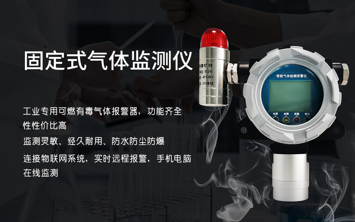 在線式氣體檢測(cè)儀